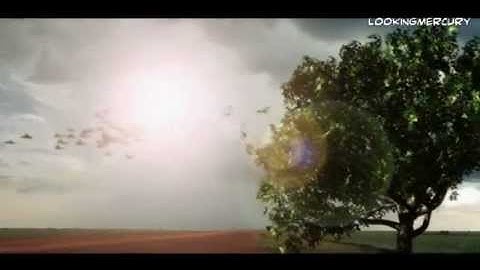 Birds Flock - 3D simulation