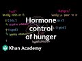 Understanding Hunger and Hormones