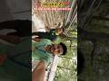 भैंरो बाबा के लिए सीढ़ी द्वारा यात्रा मार्ग 🙏 #vaishnomaakapyara #vaishnodevi #bhairav #trend #viral