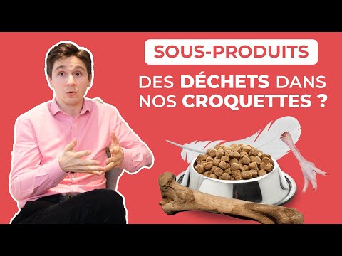 Vidéo: Que signifie sous-produits dans les aliments pour chiens?