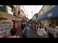 【4K】Kichijoji and Inokashira park walk