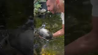 CATCHING RARE TURTLES IN AVIARY!