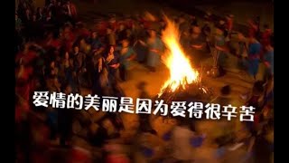 201308 爱情的美丽是因为爱得很辛苦10573