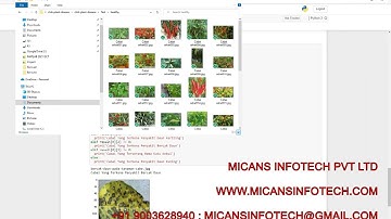 Chili plant leaf disease detection and classification python code -Convolutional Neural Network