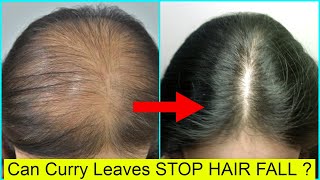 Stop HAIR FALL With CURRY LEAVES (करी पत्ते)  HAIR CARE | PRIYA MALIK