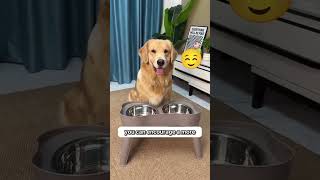 Lift Your Dogs Bowl If Theyre