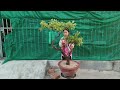 M629. gl ae một cây cẩm thị. lh 0933648634.