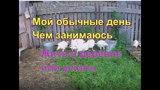 Как проходит мой день Остаться в деревне или уехать Как проходит мой день Остаться в деревне или уехать