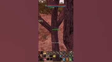 Crazy 1v1 | Ashes of Creation [DIS] Fighter Gameplay #gaming #ashesofcreation #games #mmorpg