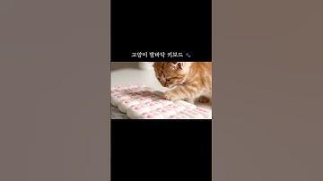 고양이 발바닥 키보드 ASMR 🐾 | AI Cat Paw Keyboard ASMR