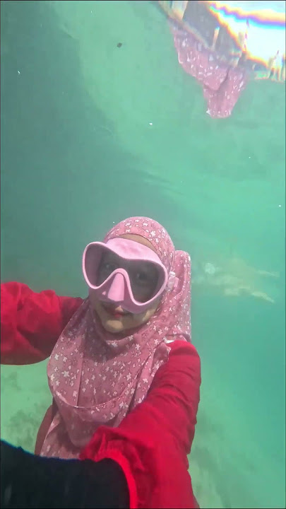 Hampir dimakan hiu!!