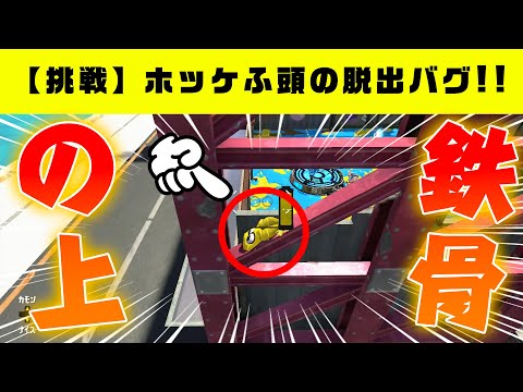 【脱出バグ】有名度No.1！？ホッケふ頭の鉄骨に乗るバグ！【スプラトゥーン２】