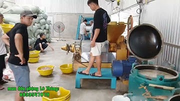 Quy trình ép dầu phộng, dầu lạc nguyên chất