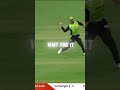 brilliant runout #bbl #runout #cricket #cricketfan