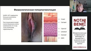 Заболевания вульвы в практике акушера-гинеколога - Бебнева Т.Н., NOTA BENE! Самара, 10 октября 2020