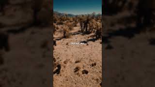 Download Lagu Whitesnake - Still of the Night (Lyrics) MP3