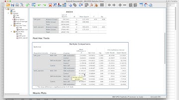 Assignment 5    Video 08    Running a one way ANOVA in SPSS
