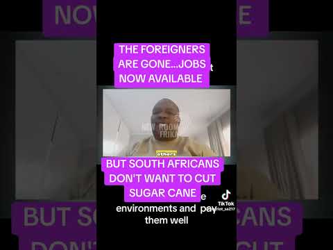... They stealing our jobs...But now the Sugar industry is battling to replace the foreigners
