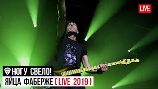 Смотреть клип Ногу Свело! - Яйца Фаберже (Live 2019)