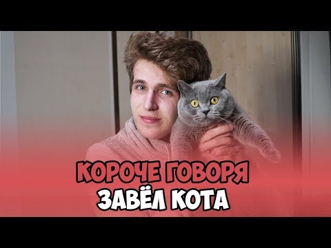 КОРОЧЕ ГОВОРЯ, ЗАВЁЛ КОТА