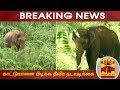 New video by Thanthi TV on YouTube