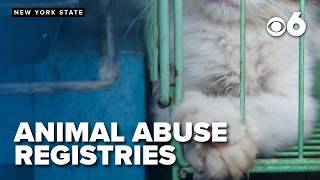 Push grows for statewide animal abuse registry