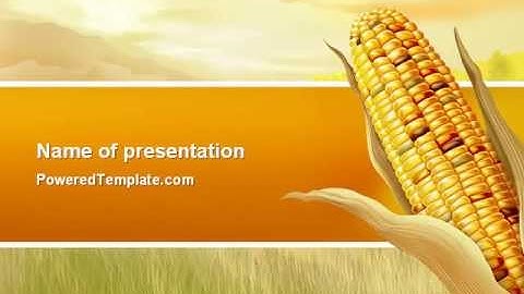 Free Corn Thanksgiving PowerPoint Template by PoweredTemplate.com