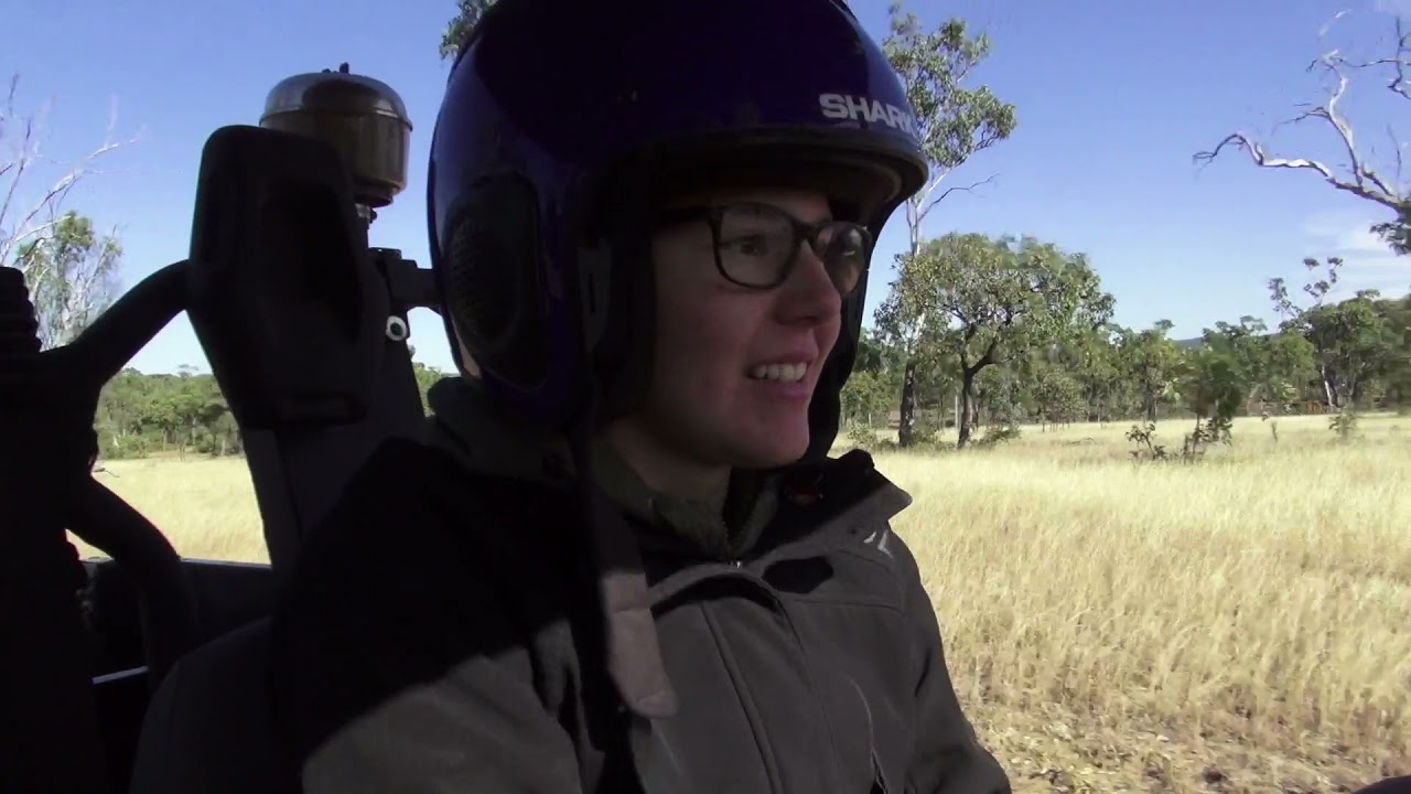 Wild dog trapping 2018 3 YouTube