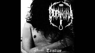 Dopamina - Sentimiento de vacío