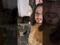 Your cat is unique
