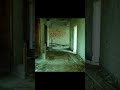 Как проверить принадлежит ли тебе твой ИИ