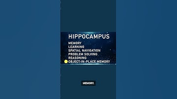 Dr. Berg explains what the hippocampus handles #drberg #hippocampus #brainhealth #ketoliving #brains