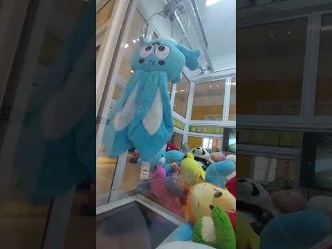 Catching the giant plush Sansão from Monica's Gang