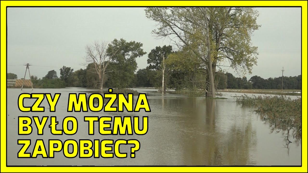 Głogów: Woda wdarła się do domów na Krzepowie