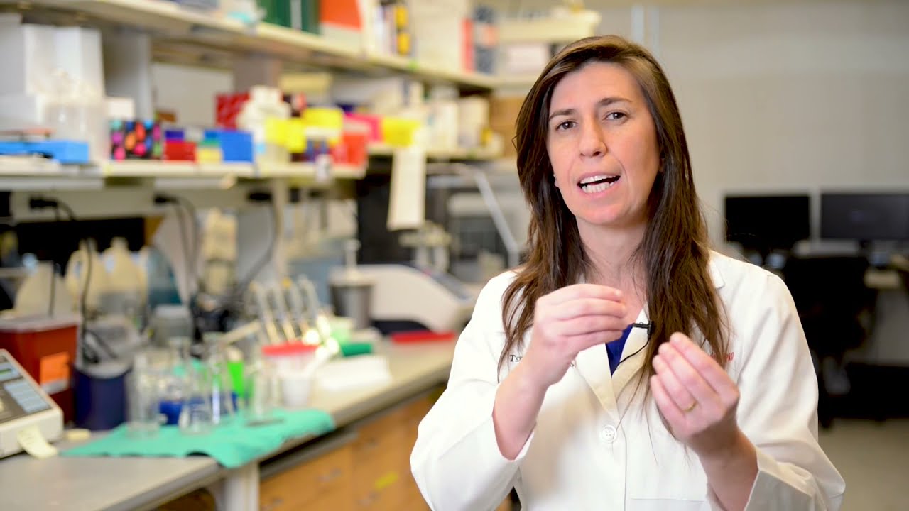 Bench to Bedside: From Ideas to Medicine