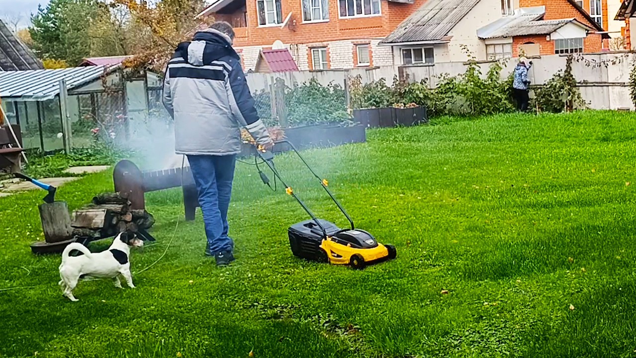 Я кошу траву, но моя собака Майло против
