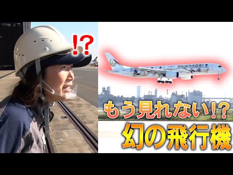 たった１機！？本当にレアな飛行機に出会えました！【職業 