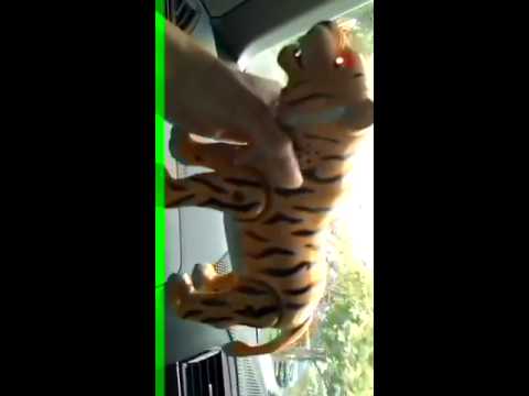 battery operated tiger toy - YouTube