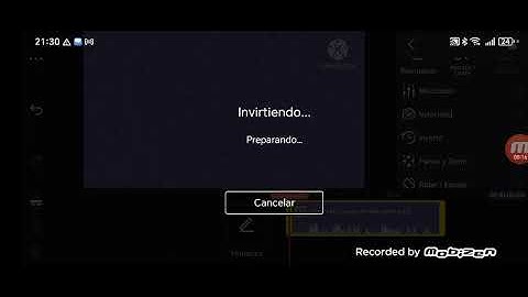 How To Make Pitch Black And White Invert Reversed On Kinemaster