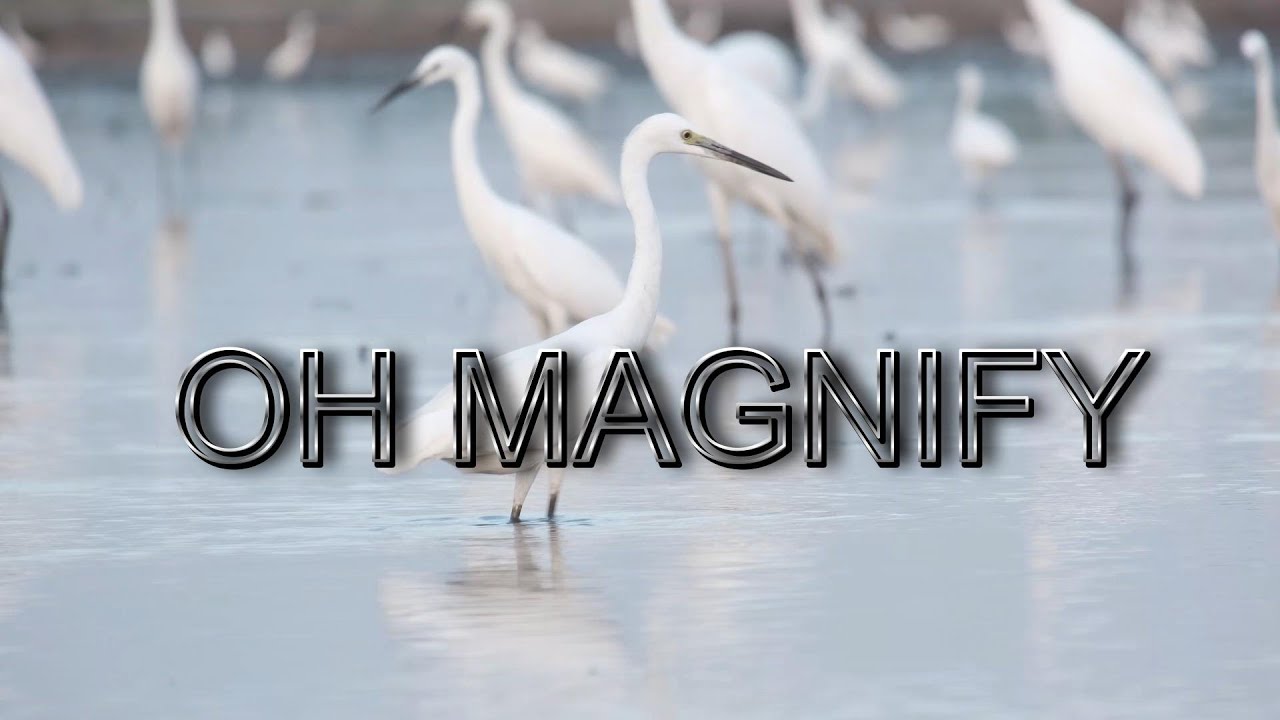 Ohio Magnify Oh Magnify (OFFICIAL VIDEO) - YouTube
