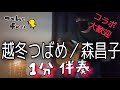 【1分伴奏】越冬つばめ 森昌子 ギター カバー 伴奏