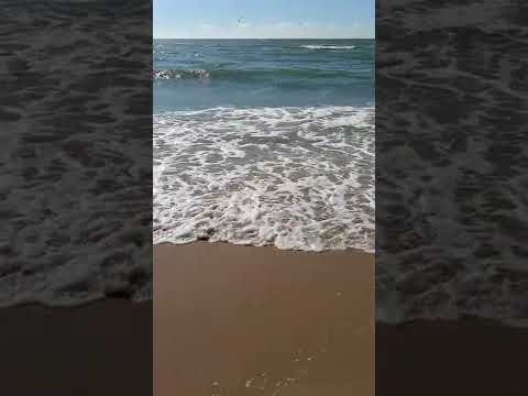 dagje Castricum aan Zee