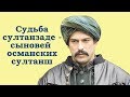 Судьба султанзаде — сыновей османских султанш