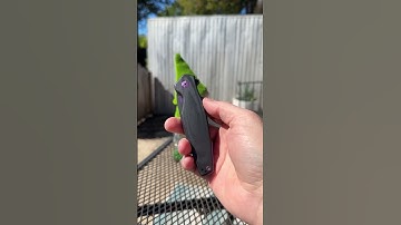 1.6oz of AWESOMENESS with the VC Edge Interface #youtubeshorts #blade #knife #dailycarry