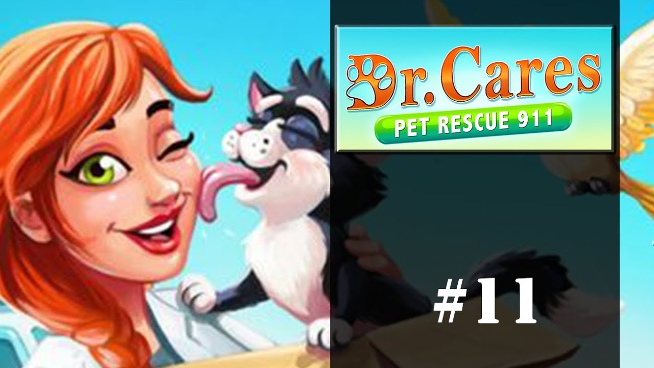 toutou rescue toutou rescue