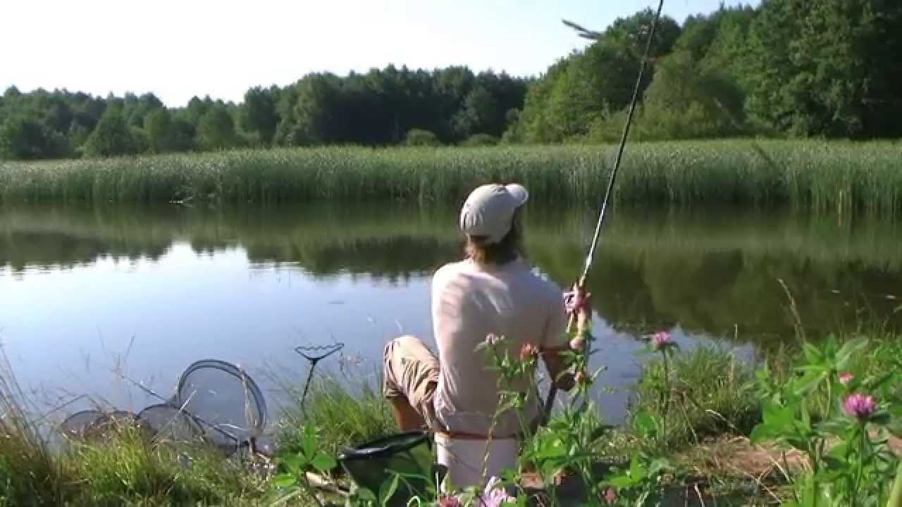 Match fishing