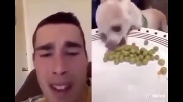 Videos saved to my phone without context #1