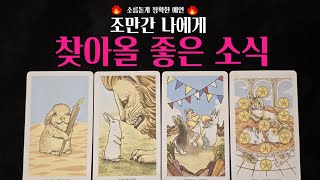 [타로] 99.9% 소름 돋게‼️ 나에게 다가올 좋은 소식애정운,금전운,직업운  다 알려드려요