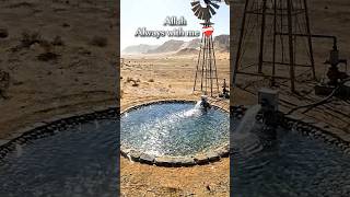 আল্লাহ আছে আমার সাথে 🥰🤗 || Survival Mud House  #shorts #mudhouse #islamic