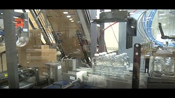 Edible Oil Case Packing Solution